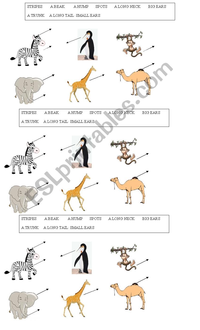 passive worksheet