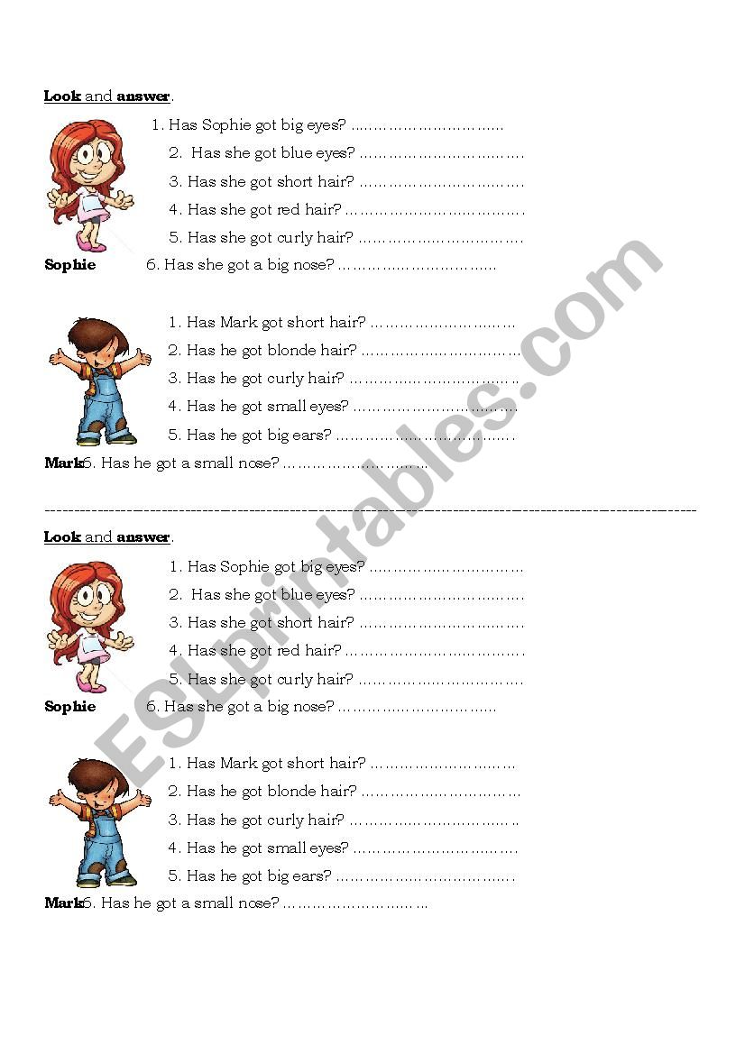 has got - questions worksheet