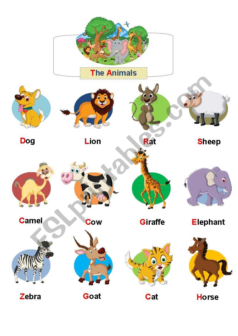 The Animals worksheet