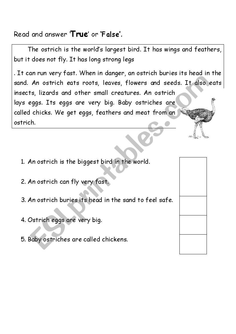 Animals worksheet