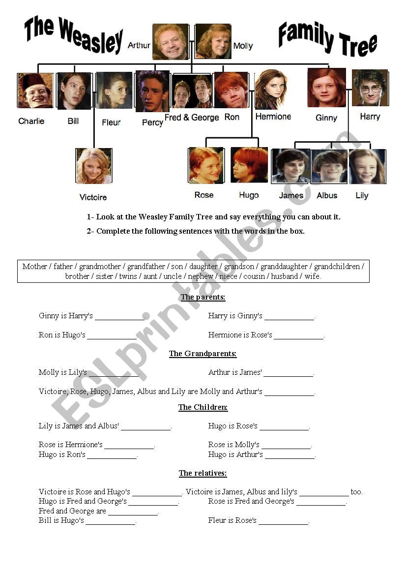 The Weasley Family Tree worksheet