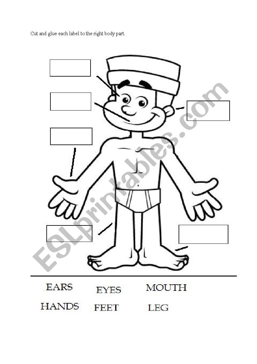 Body Parts Worksheet worksheet