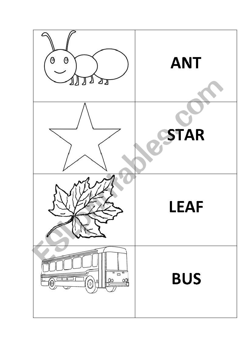 MY FIRST WORDS FLASHCARDS- PART 1