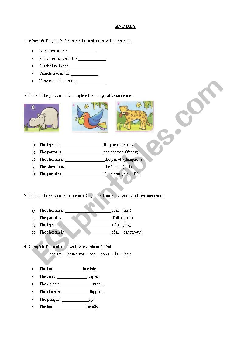 Animals worksheet