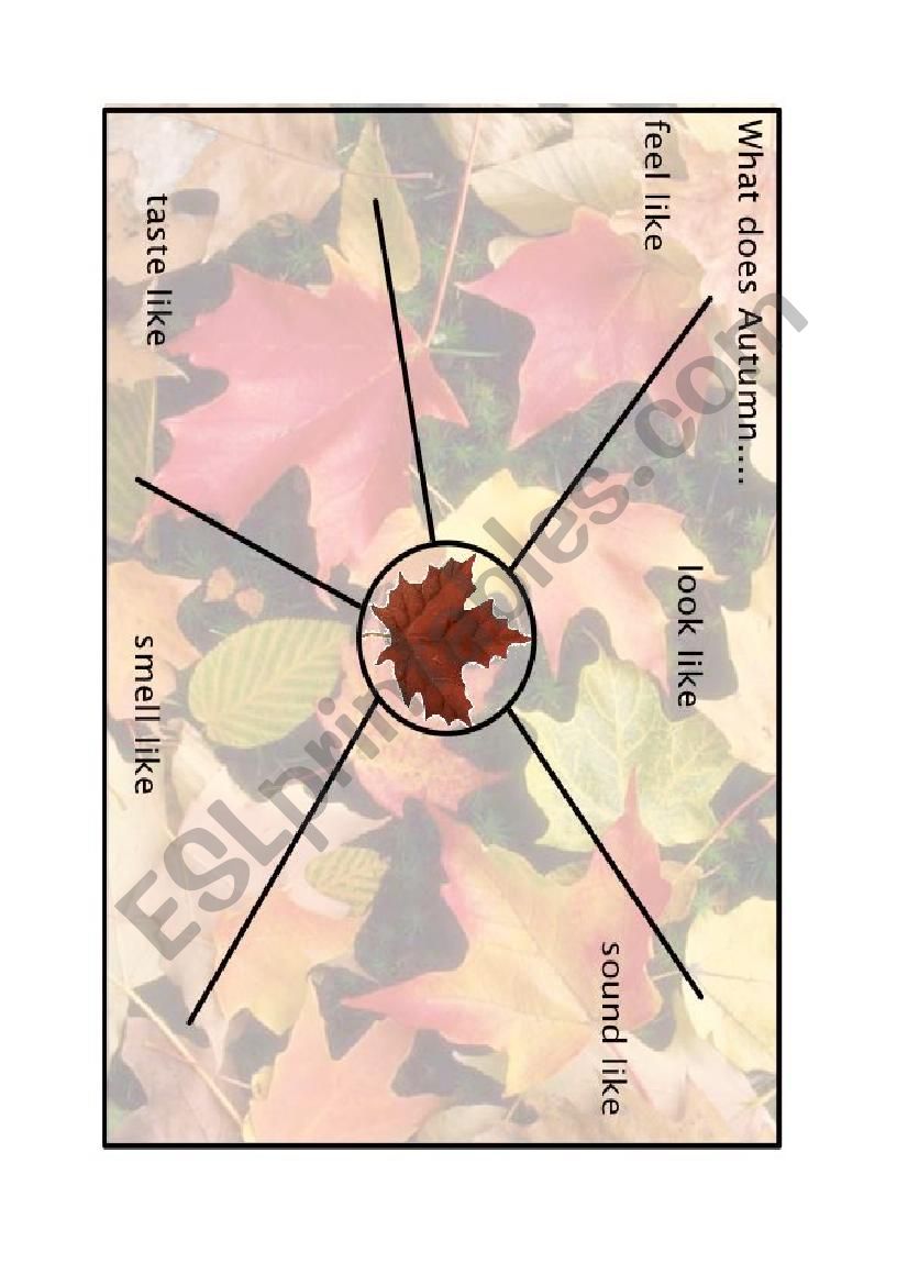 Autumn Fall Five Senses worksheet