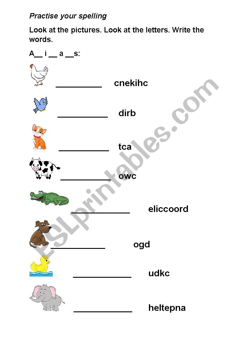 Animals Spelling Worksheet worksheet