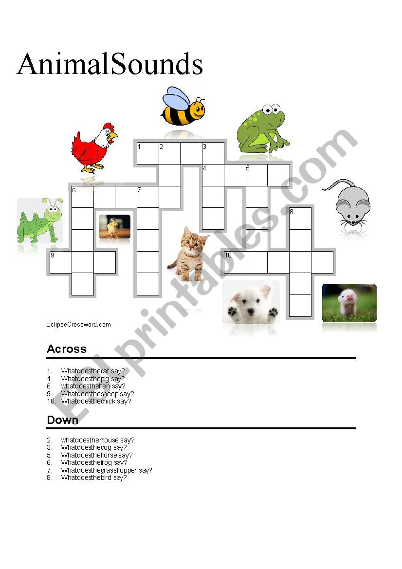 Animal Sound worksheet