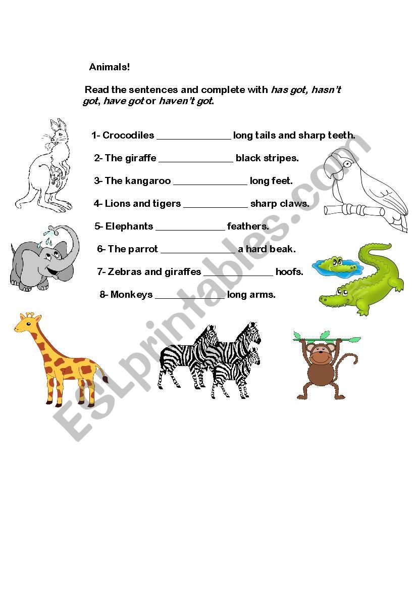 Animals worksheet