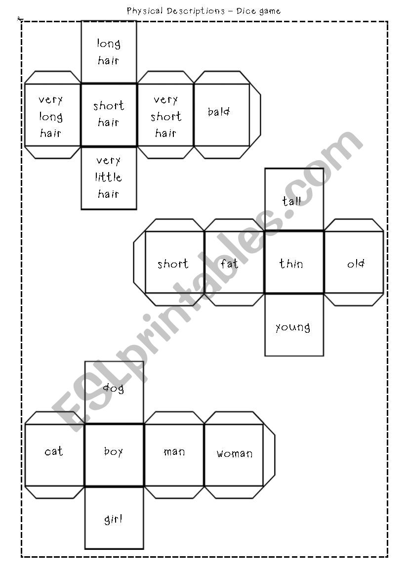 Physical descriptions worksheet