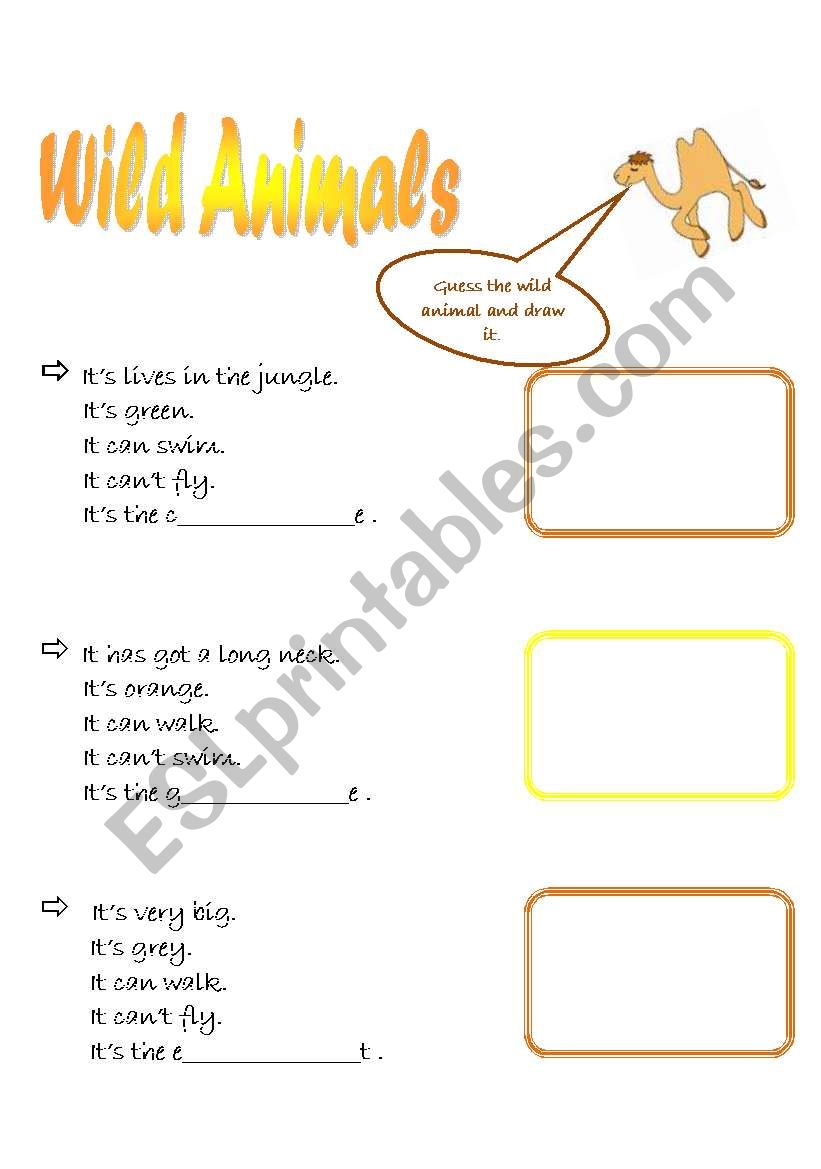 Guess the wild animal worksheet