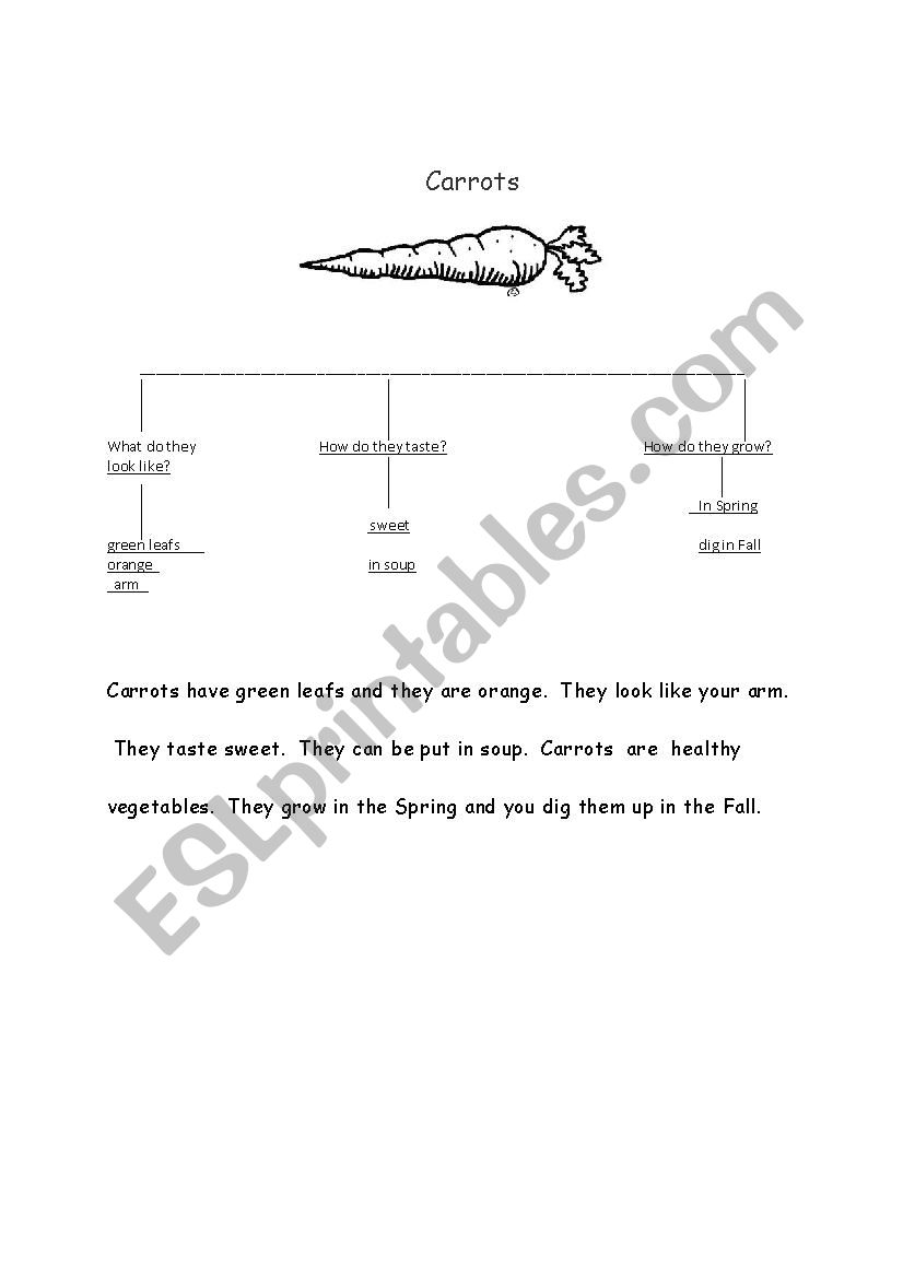 Writing a short pararagraph worksheet