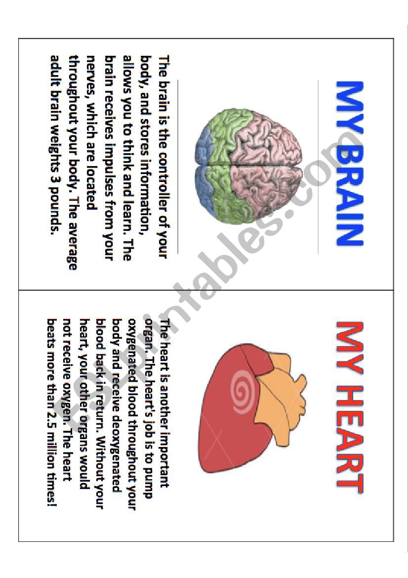 Internal parts of body book worksheet