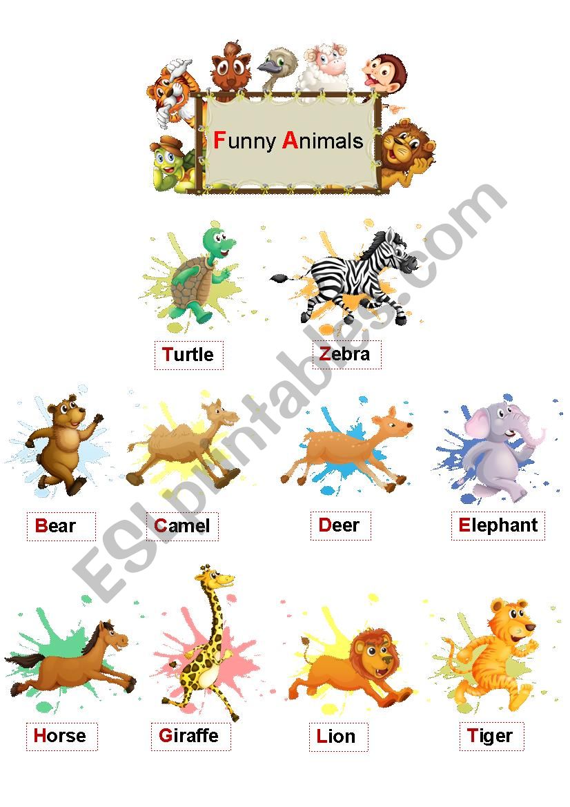 Funny Animals worksheet