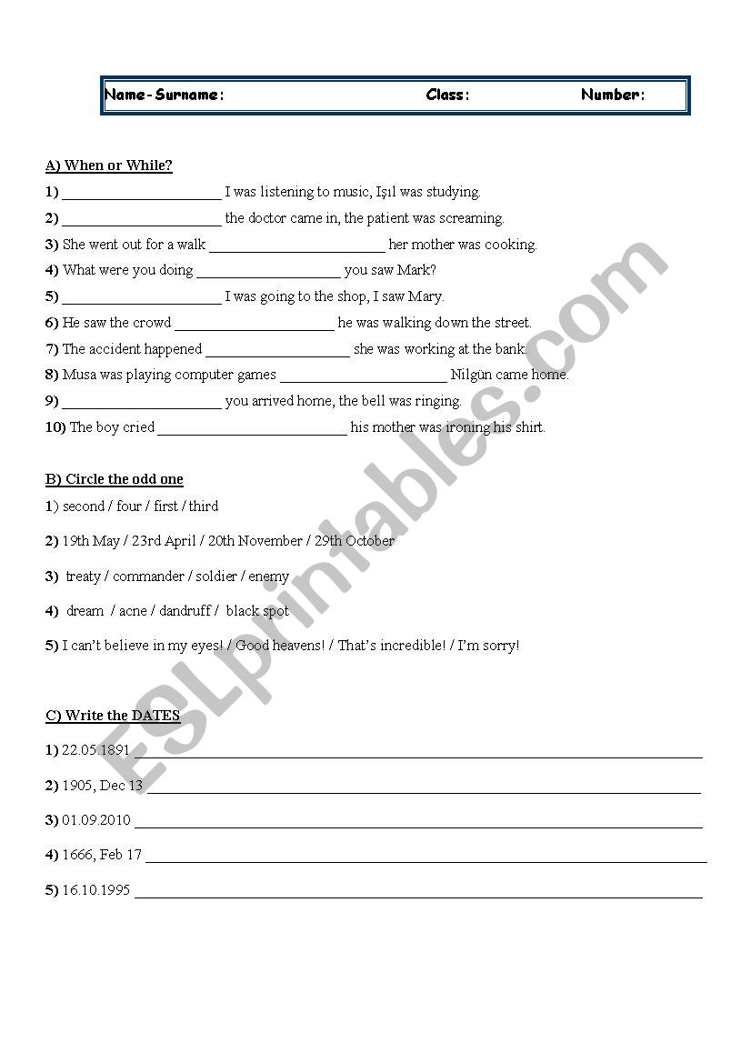 worksheet worksheet