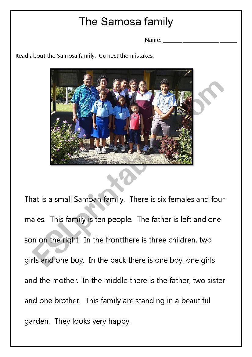 The Samosa Family worksheet