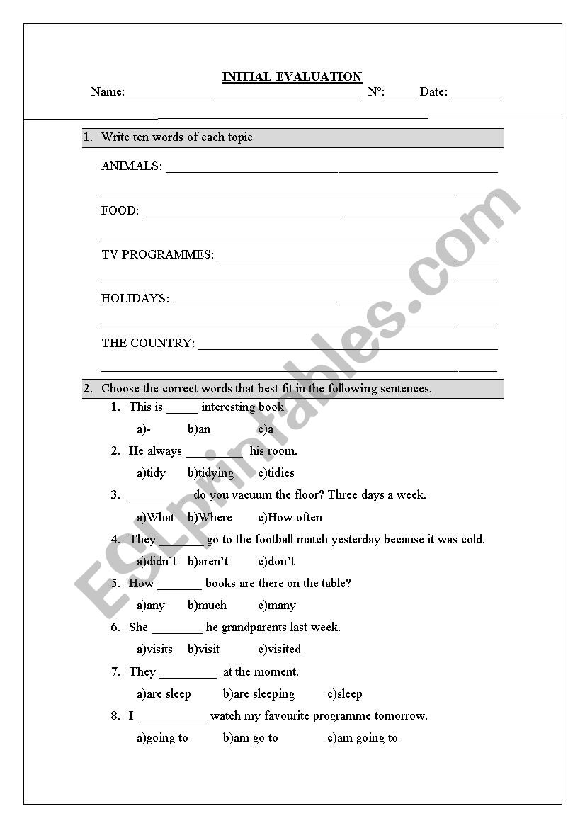 Initial Evaluation worksheet