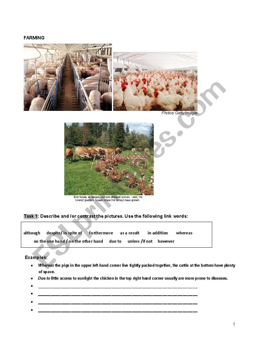 Factory Farming Part 1 worksheet