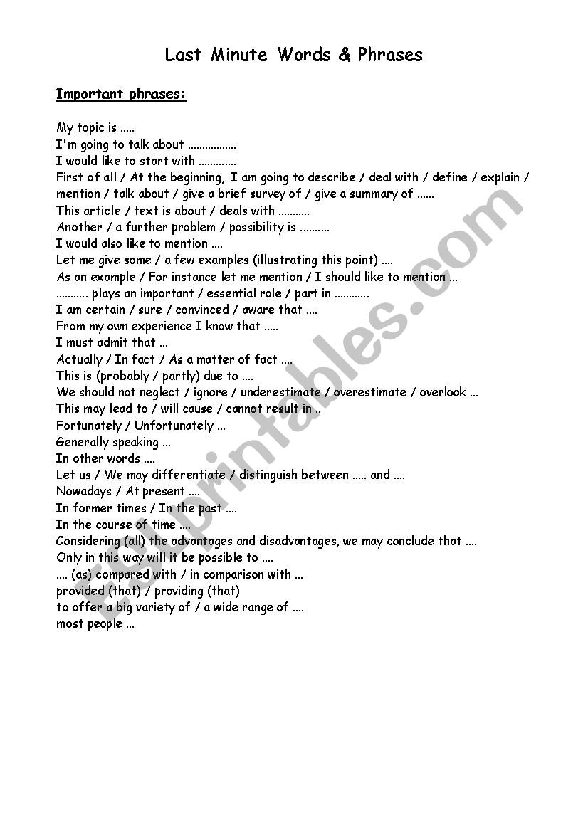 Last Minute Words & Phrases worksheet