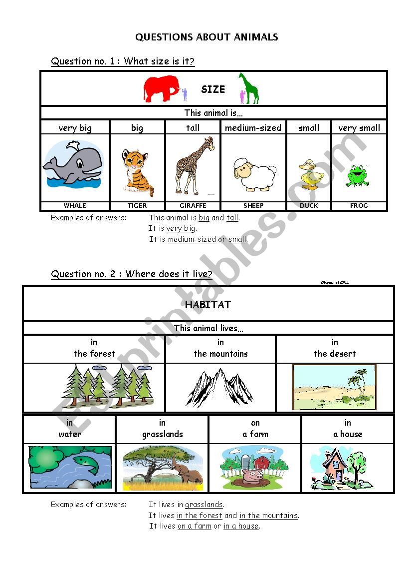 Animal Habitats worksheet