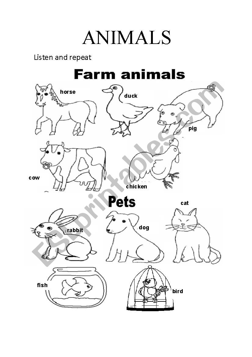 DOMESTIC ANIMALS worksheet