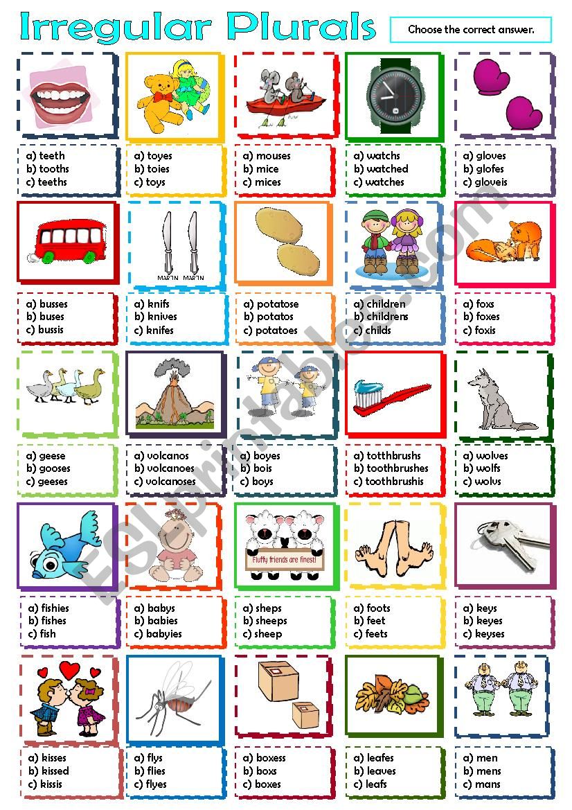 Irregular Plurals worksheet