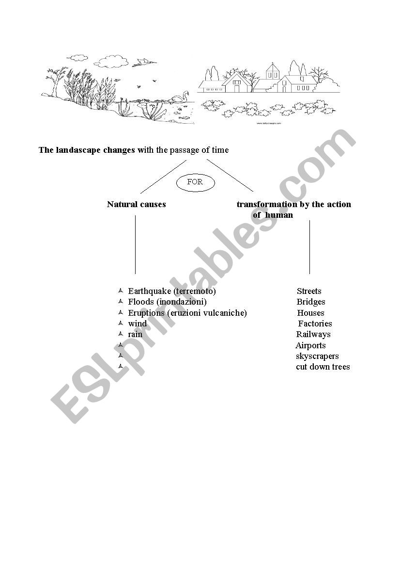 The landscape and its change worksheet