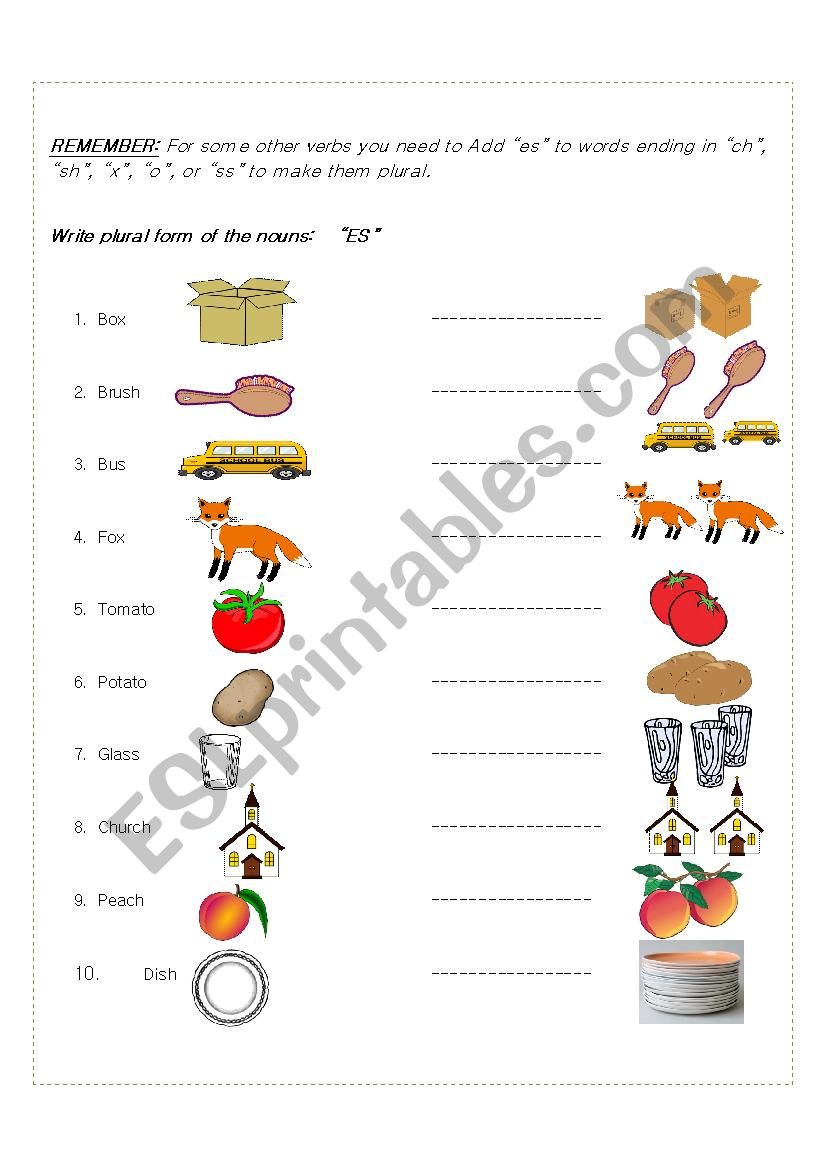 plural form of nouns worksheet