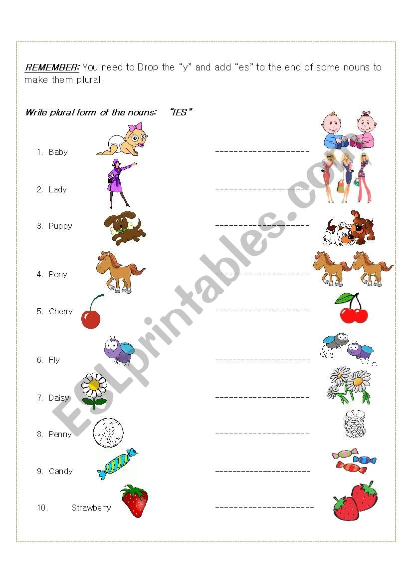 plural form of nouns  worksheet