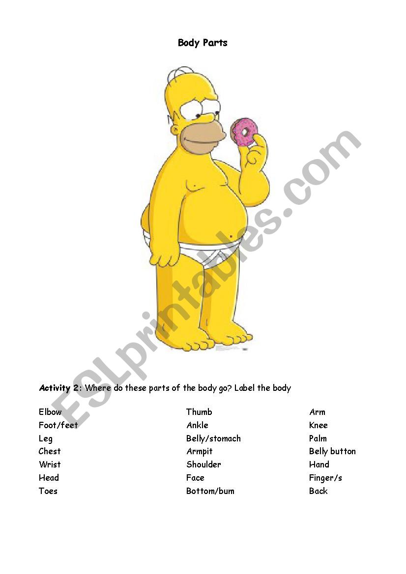 body parts worksheet