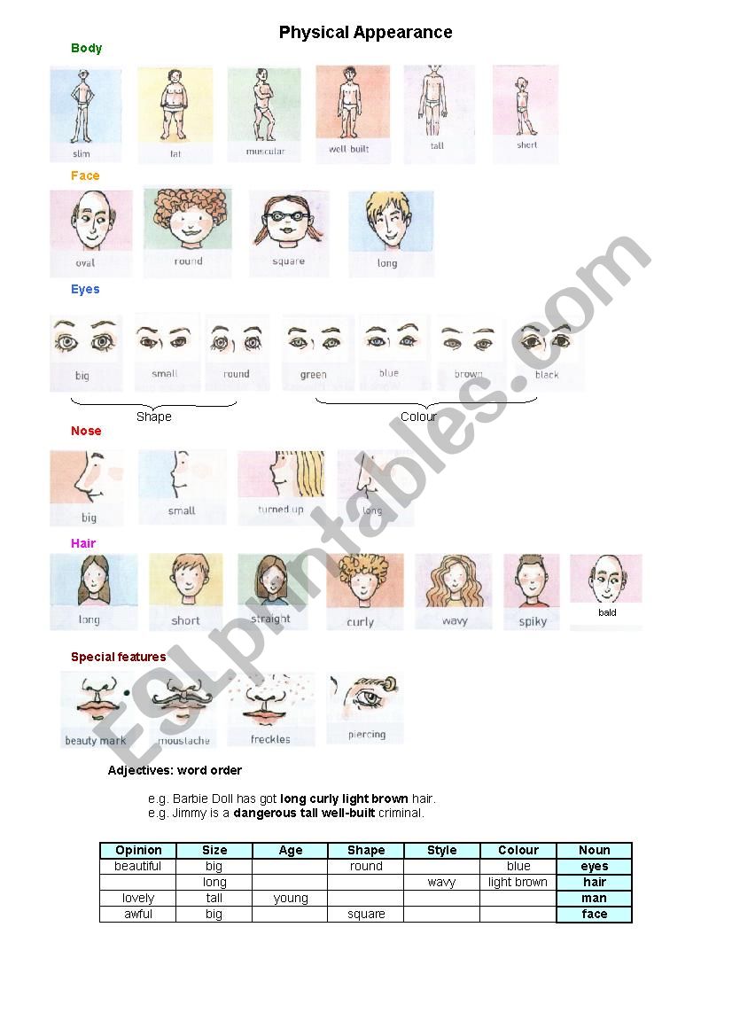 Physical appearance worksheet