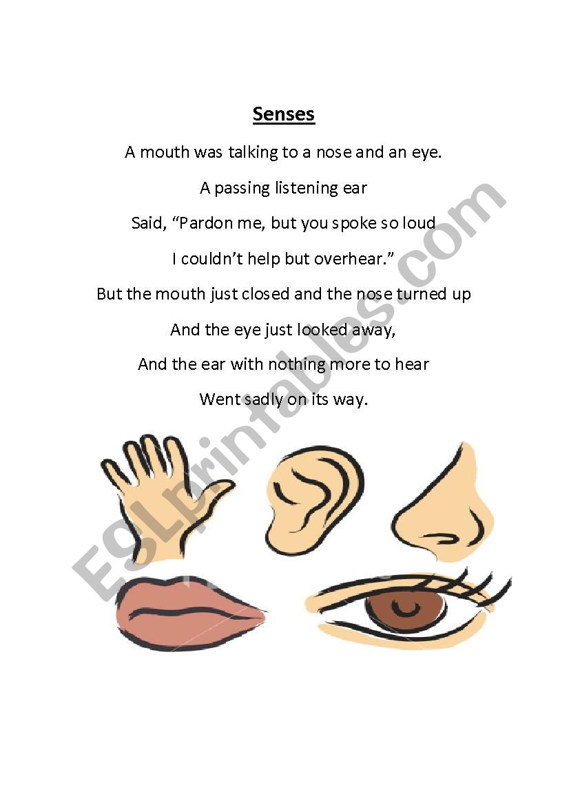 Senses worksheet