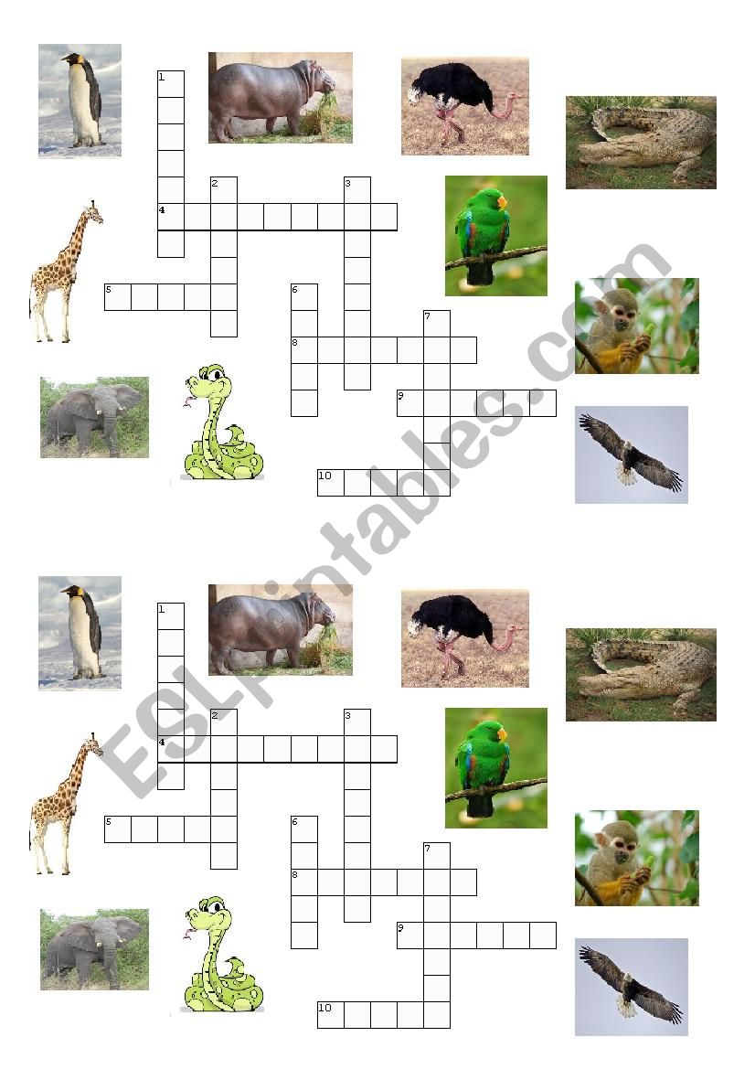 Crossword Puzzle - Animals worksheet