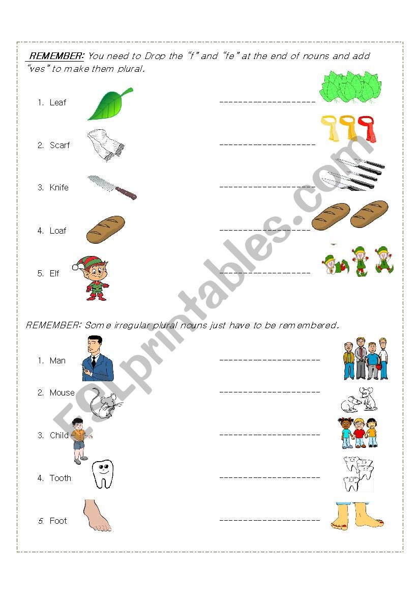 plural form the nouns worksheet