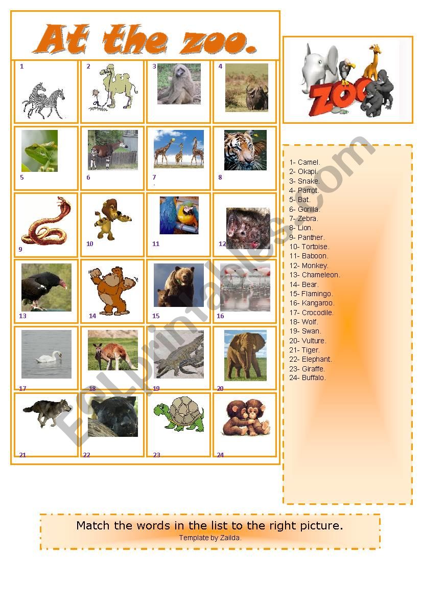 At the zoo: Matching exercise.