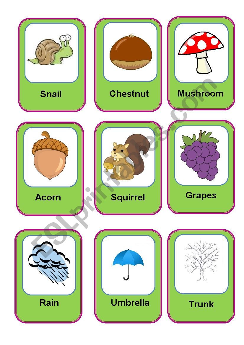 Fall Flashcards - ESL worksheet by Irenem