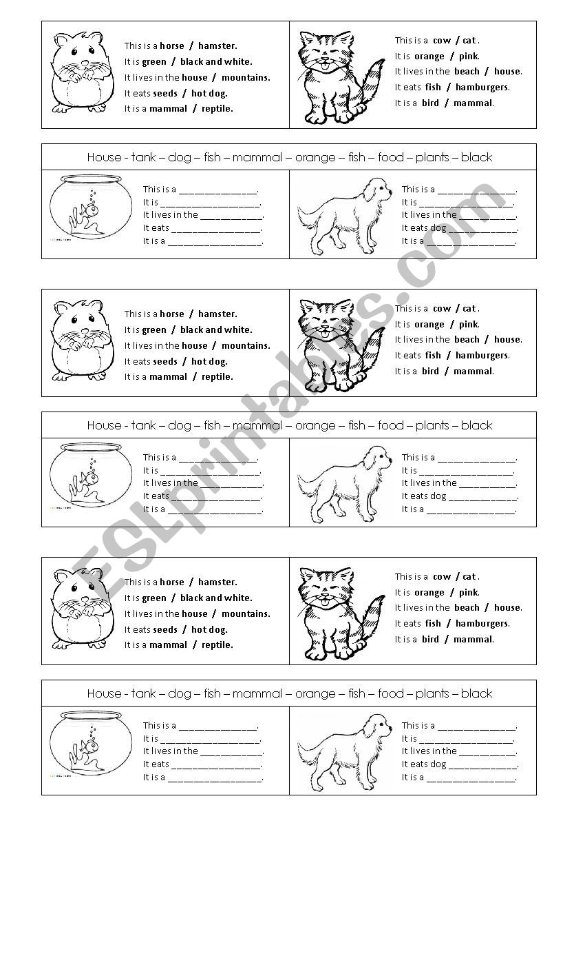 Animals worksheet