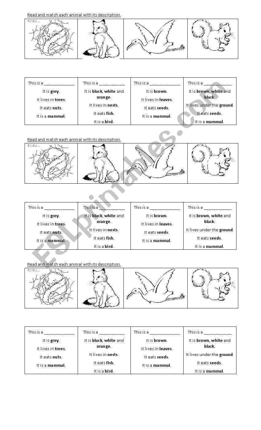 Animals description worksheet
