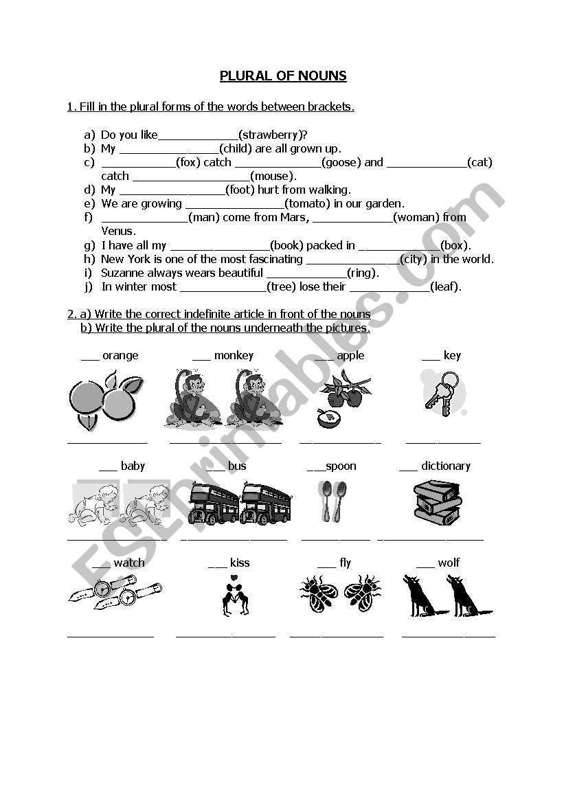 PLURAL OF NOUNS worksheet