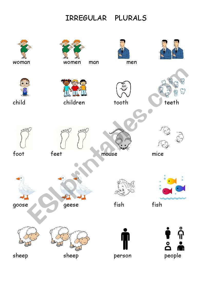 Plurals worksheet