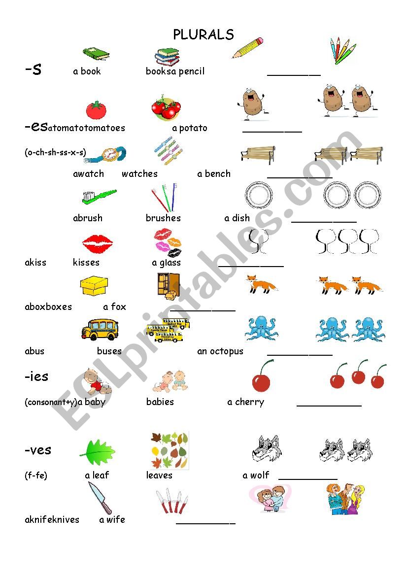 Plurals worksheet