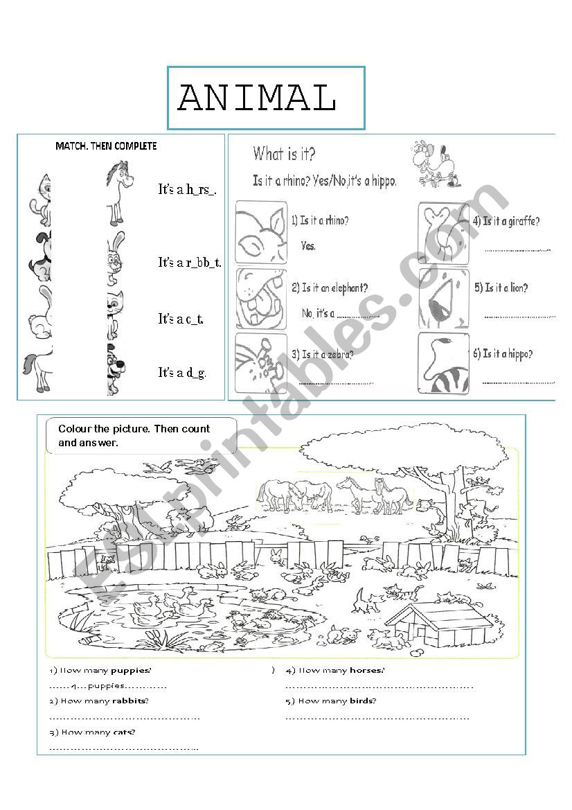 Animals worksheet worksheet