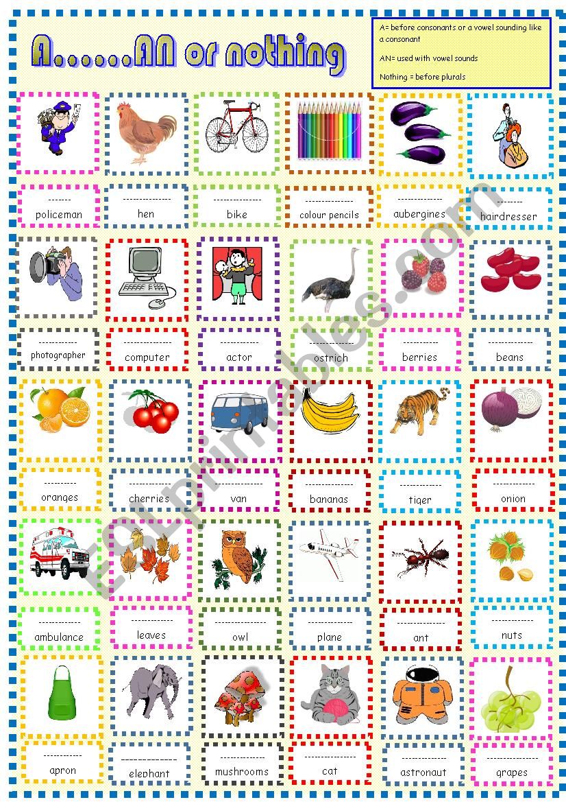 A ........AN or nothing worksheet