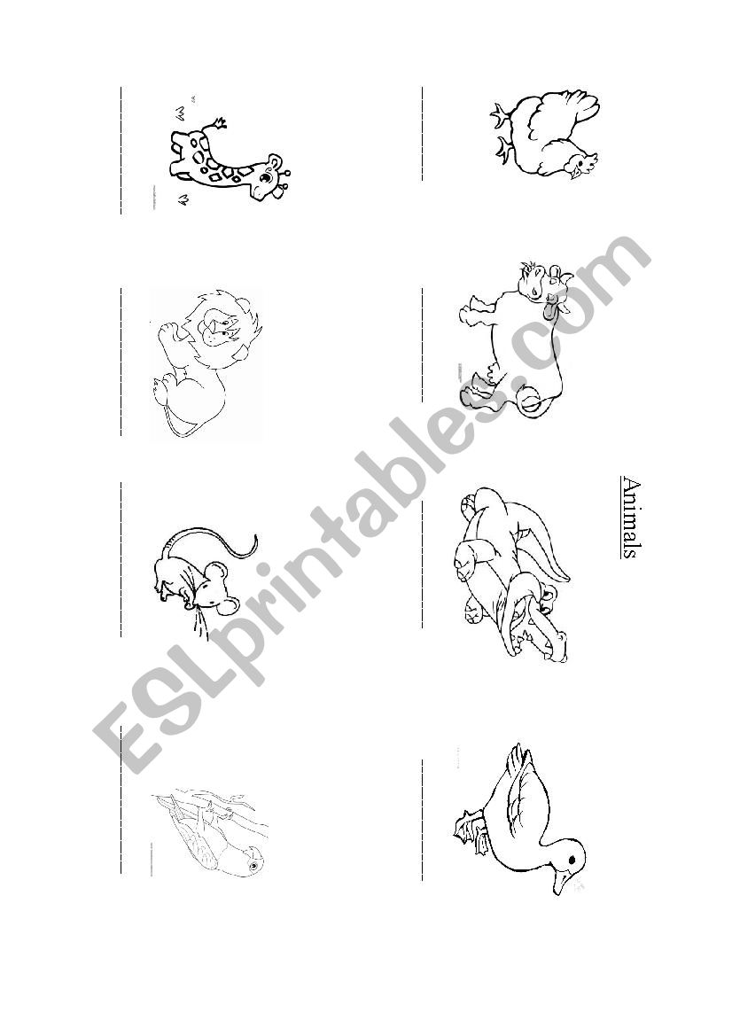 Animal matching worksheet