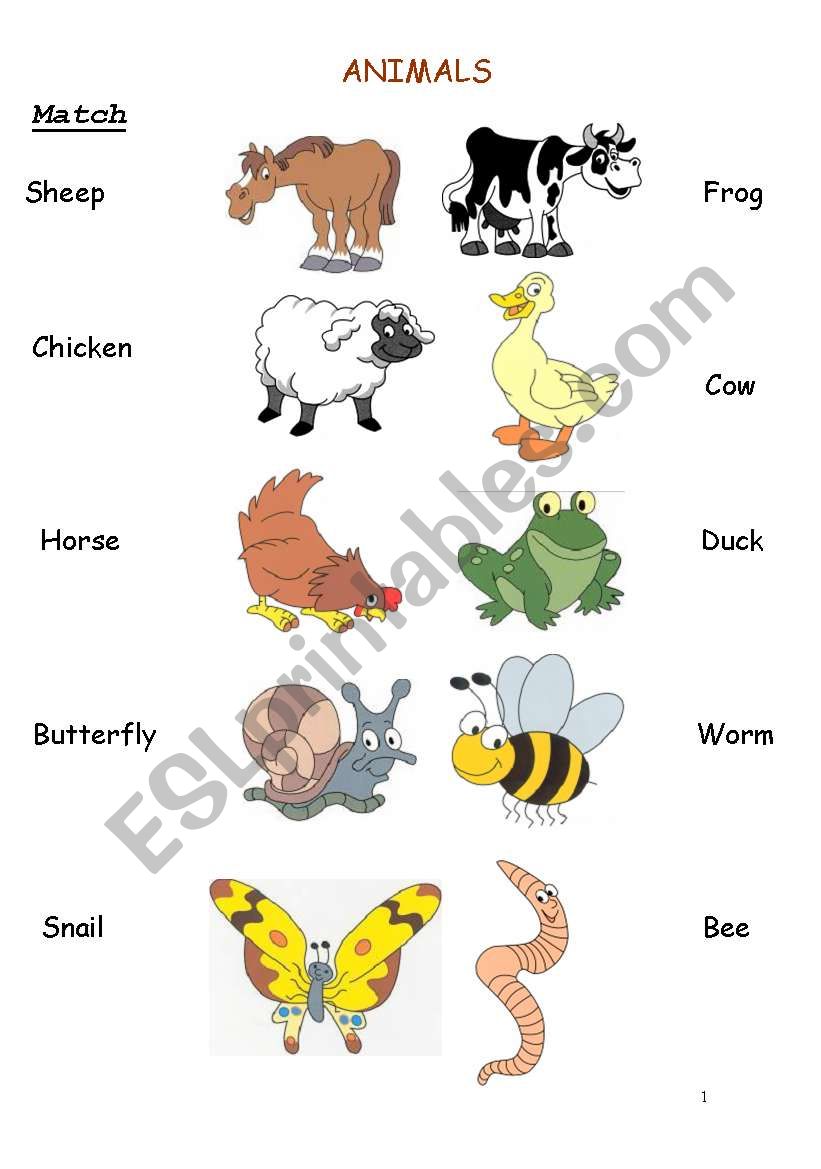 animals worksheet