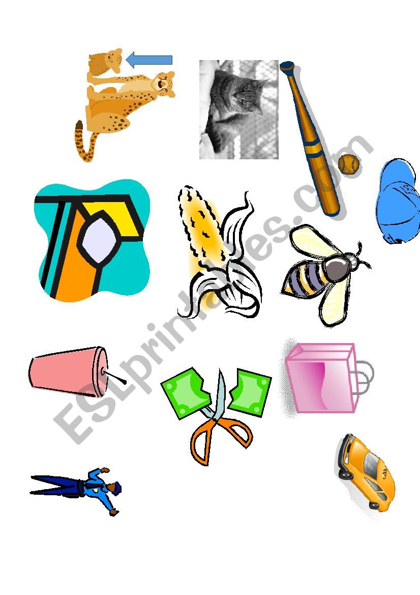 Simple word bingo B C (/k/) F and G sounds