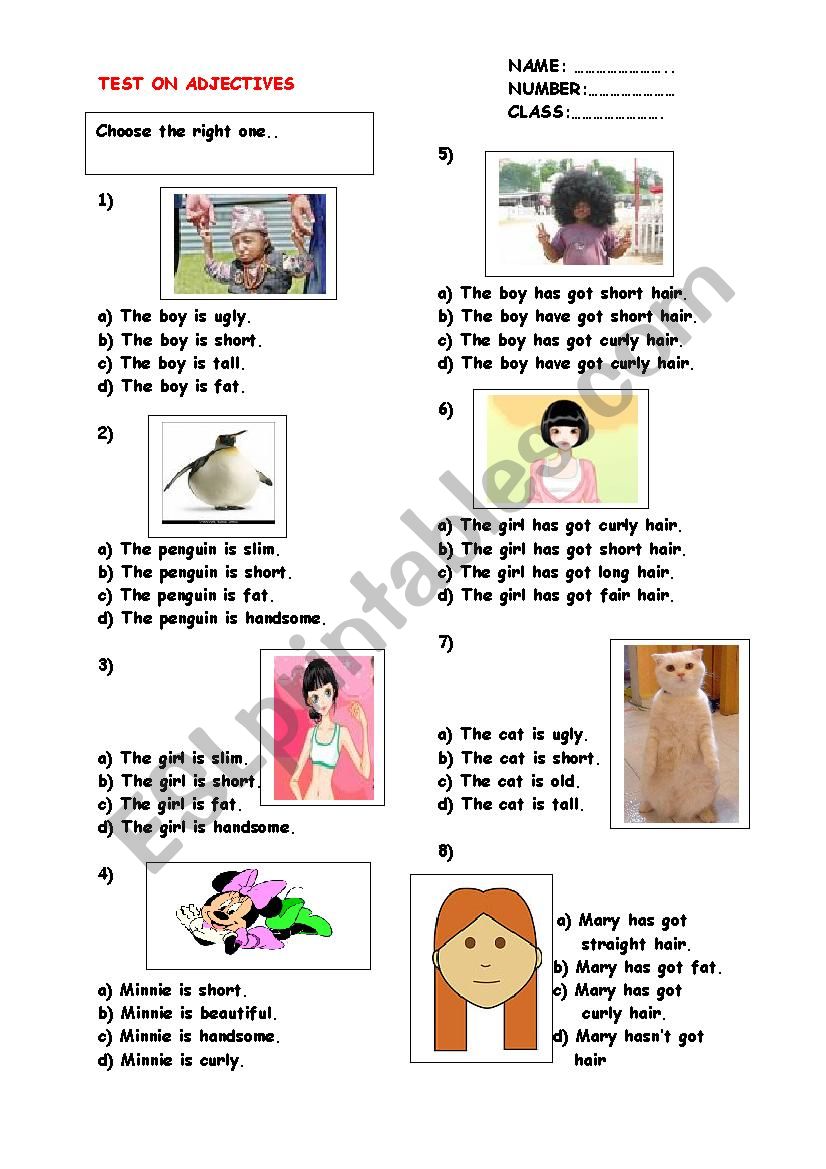 test on adjectives worksheet