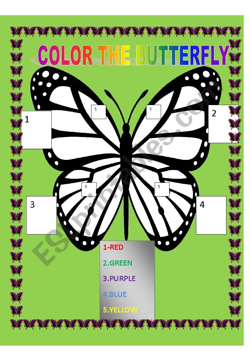 BUTTERFLY worksheet