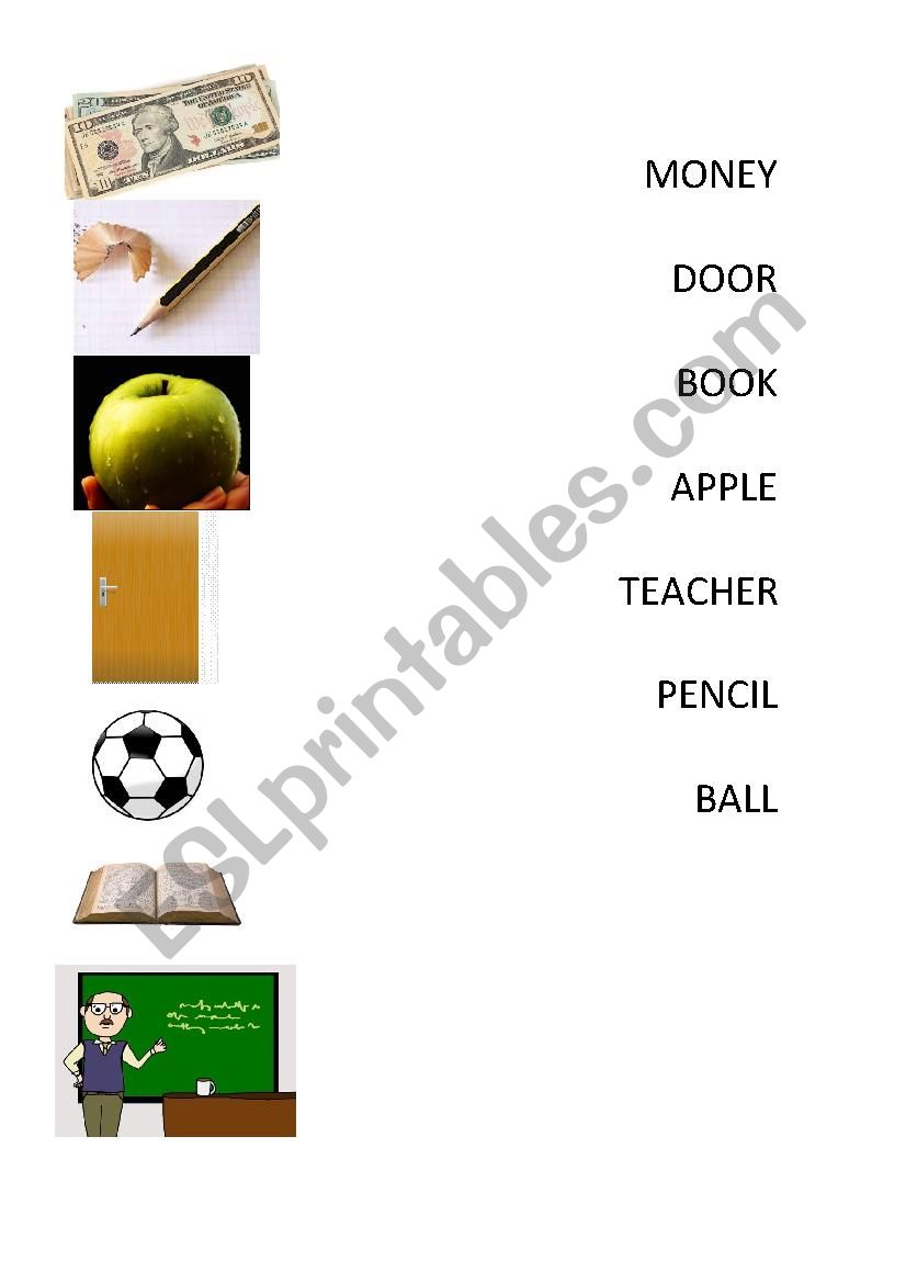 Vocabulary worksheet