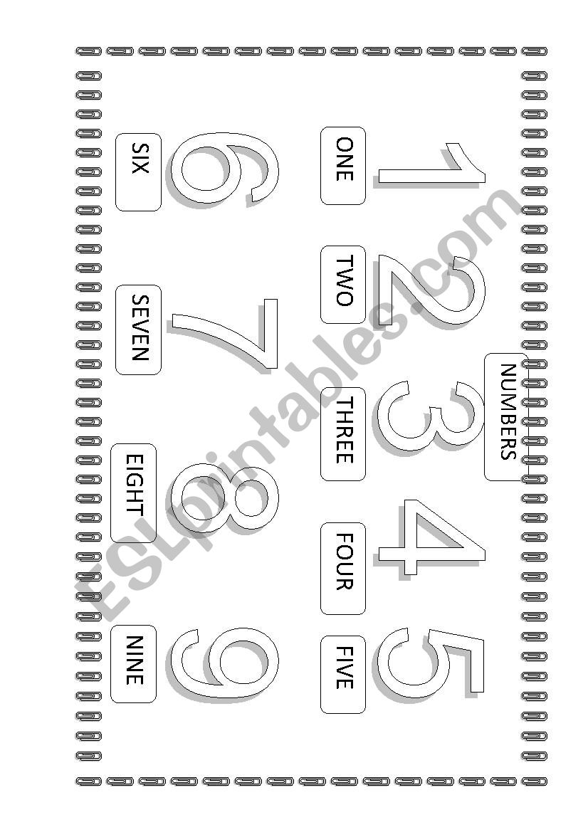 NUMBERS worksheet