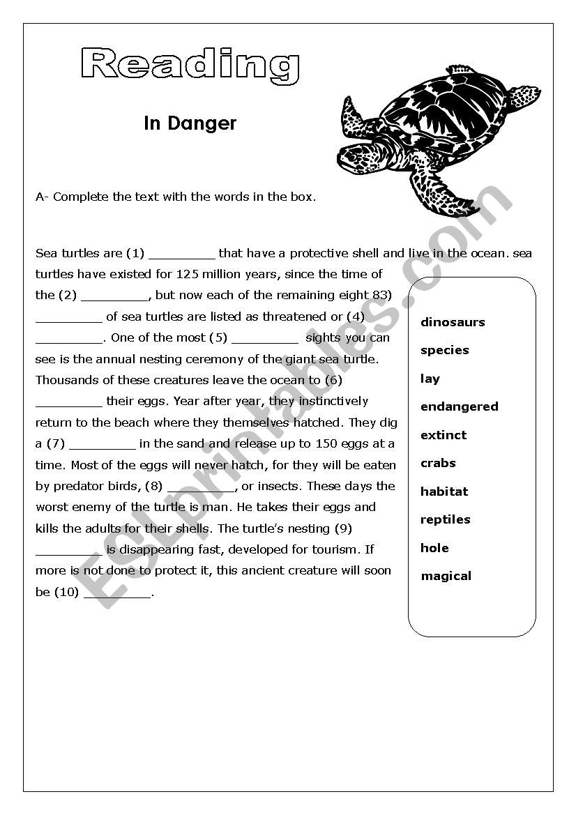 Turtles in Danger worksheet